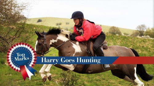 Top Marks: Harry Goes Hunting