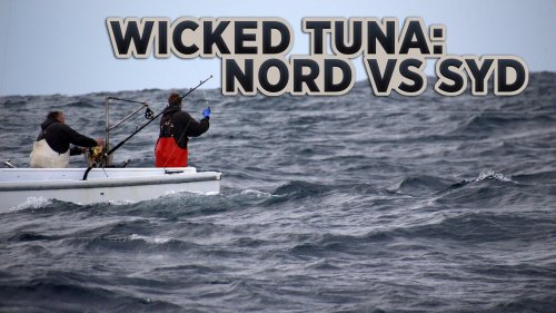 Wicked tuna: nord vs syd