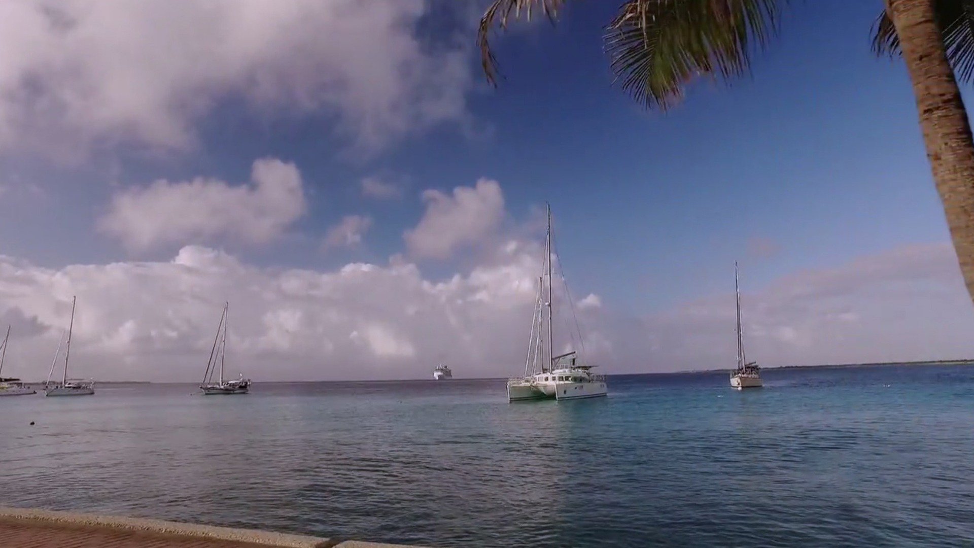 13. No Regrets on Bonaire