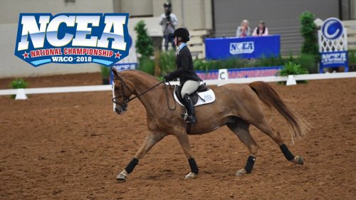 NCEA College National Championship 2018