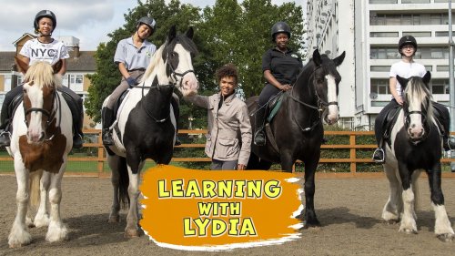 Learning with Lydia