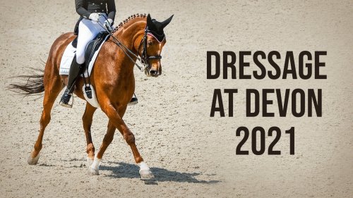 Dressage at Devon 2021